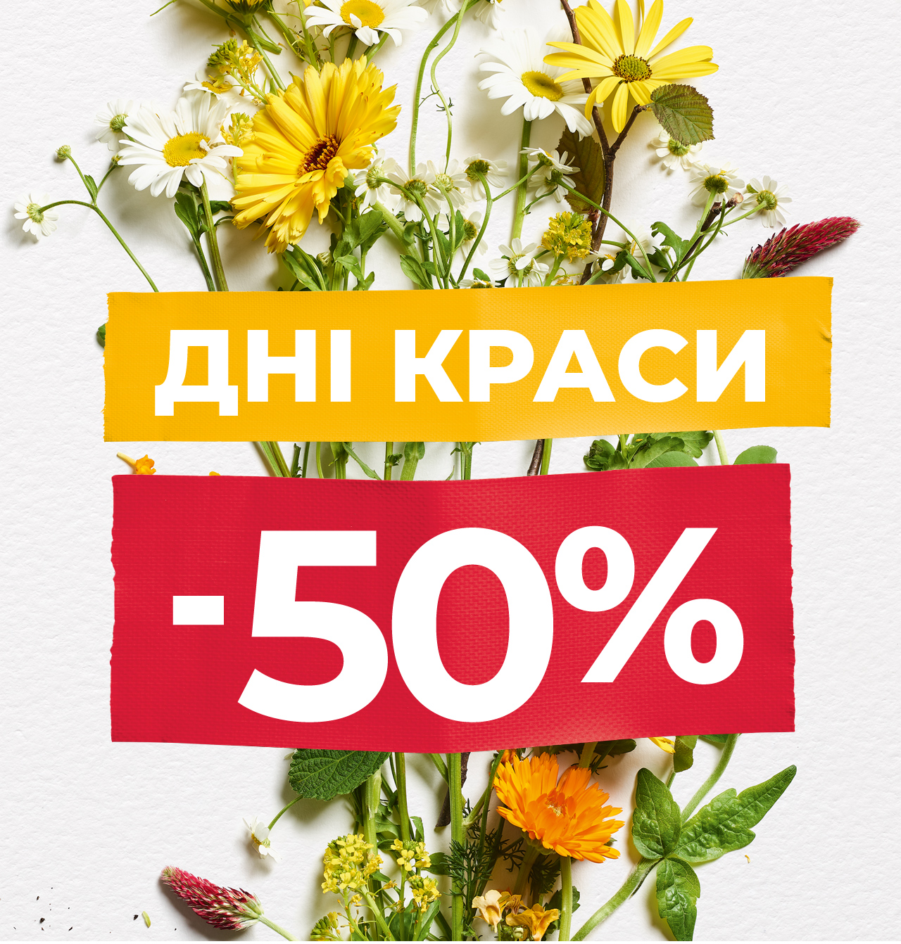 i  i   -50%