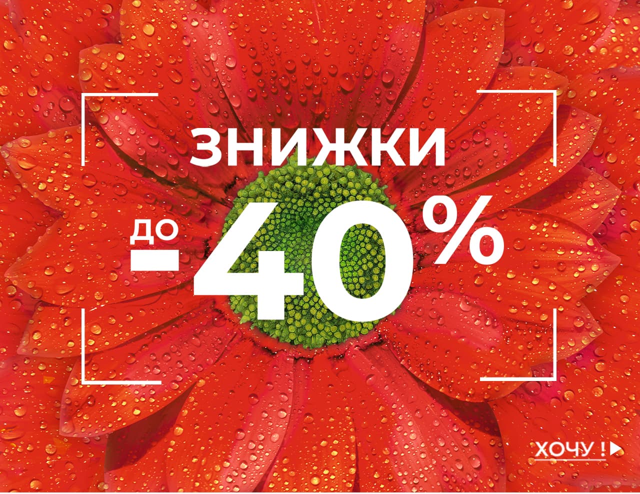    -40%!